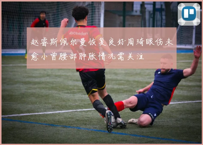 赵睿斯佩尔曼恢复良好周琦眼伤未愈小曾腰部肿胀情况需关注