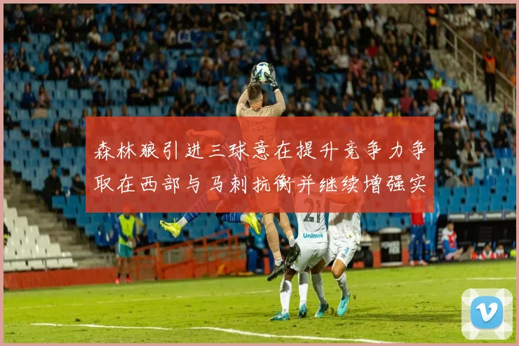 森林狼引进三球意在提升竞争力争取在西部与马刺抗衡并继续增强实力