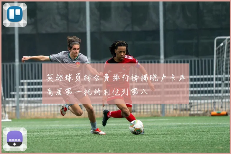 英超球员转会费排行榜揭晓卢卡库高居第一托纳利位列第八