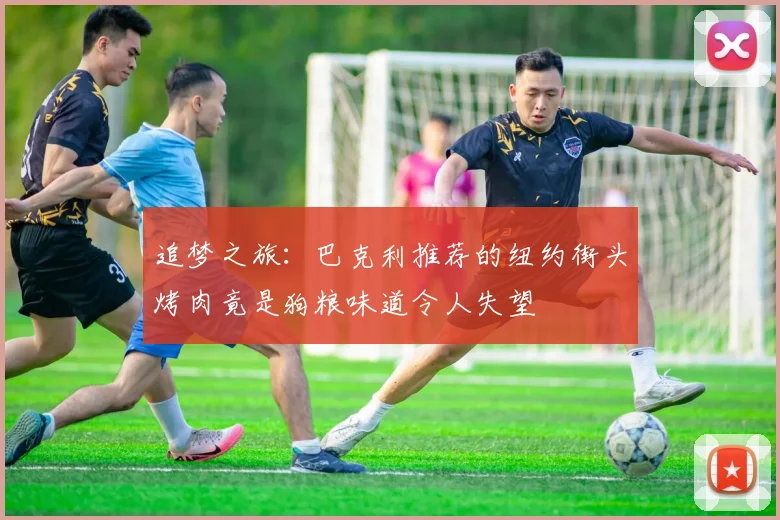 追梦之旅：巴克利推荐的纽约街头烤肉竟是狗粮味道令人失望